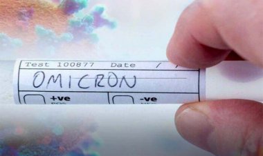 طوفان اُمیکرون در استان بوشهر