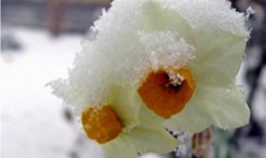 اسفند فارس با برف و باران می آید