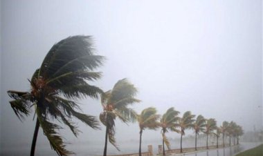 بوشهر بارانی می‌شود/ احتمال آب‌گرفتگی معابر