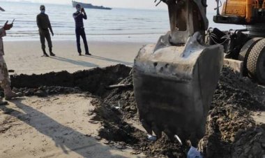 ببیند| کشفی عجیب در ساحل معروف بندرعباس