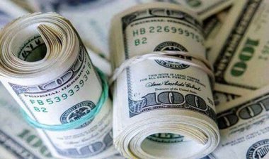 دلار صرافی‌ها وارد کانال ۲۴ هزار تومان شد