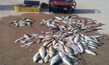 دستگیری متخلفان صید ماهی با جریان الکتریکی در شوشتر و گتوند