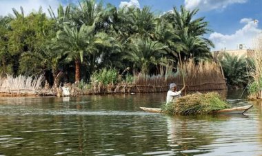 پتانسیل بی‌نظیر شادگان برای تبدیل شدن  به شهرستان اقامتگاه‌های بوم‌گردی