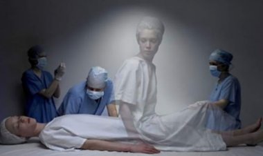 دانشمندان به‌طور اتفاقی ثبت کردند؛ بعد از مرگ چه می‌بینیم؟