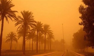 گردوغبار کشورهای همسایه مهمان ناخوانده شمال بوشهر