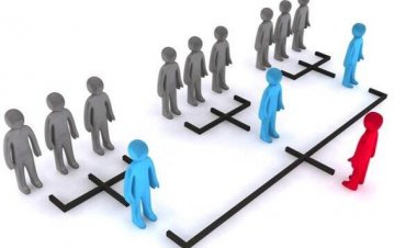 شرکت‌های هرمی همچنان قربانی می‌گیرند