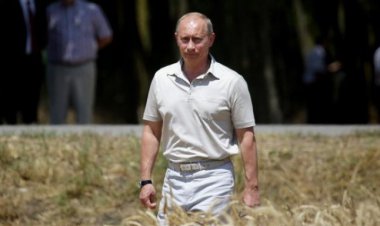 پوتین، گندم را نجومی کرد!