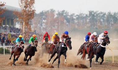 پاتریک از استان بوشهر  مقام اول اسب دوانی کشور
