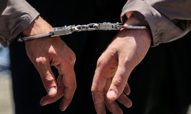 یکی از سرشاخ‌های فضای مجازی دستگیر شد