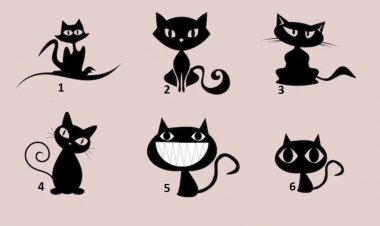 گربه ای را که بیشتر دوست دارید انتخاب کنید و متوجه شوید که شخصیت واقعی شما چیست