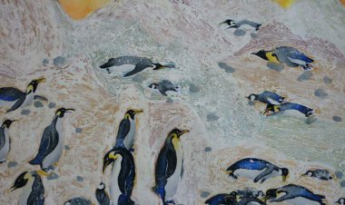 کودک اهوازی برگزیده اول مسابقه «لوئی فرانسوا» شد