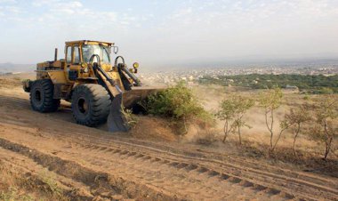 بادام کاری بهانه جدید زمین خواران در کهگیلویه و بویراحمد