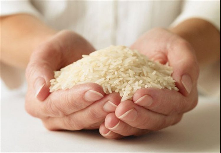 قول مقام وزارت جهاد درباره برنج