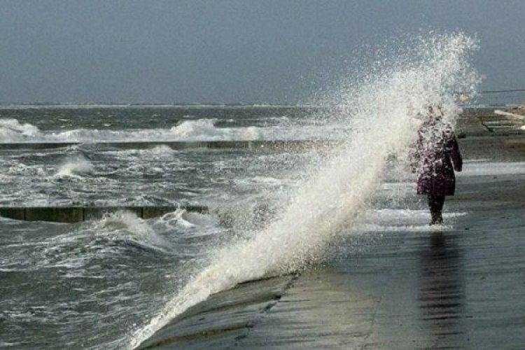 مدیرکل هواشناسی بوشهر: خلیج فارس طوفانی می‌شود/ اختلال در ترددهای دریایی