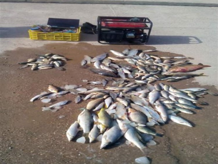 دستگیری متخلفان صید ماهی با جریان الکتریکی در شوشتر و گتوند
