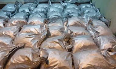 کشف ۷۰۰کیلوگرم تریاک در بستک