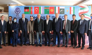 دفتر همکاری مشترک هرمزگان با سازمان اکو تشکیل می‌شود