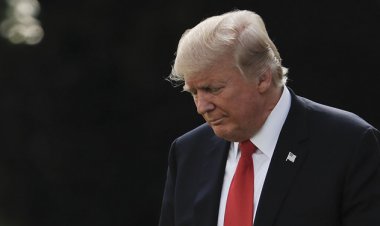 ترامپ: آمریکا می‌توانست از جنگ اوکراین کلی پول در بیاورد