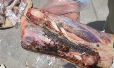 فرمانده انتظامی خرمشهر: ۲۵۰ کیلوگرم گوشت فاسد در خرمشهر کشف شد