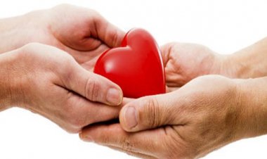 اهداء عضو جوان شیرازی جان 8 بیمار را نجات داد