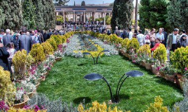 گستراندن فرش گل در استقبال از بهار شیراز