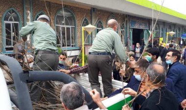 شیرازی‌ها از ایستگاه‌های سبز شهرداری، نهال رایگان بگیرند