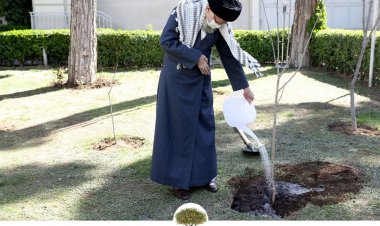 کاشت نهال توسط رهبر معظم انقلاب