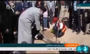 در روز درخت‌کاری، رئیسی هم یک نهال کاشت