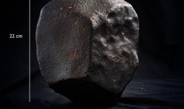 نمایش شهاب سنگ ۸ کیلیویی در موزه مردم شناسی خلیج فارس