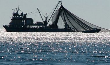 کشتی‌های صید ترال دوباره حریم دریا را شکستند