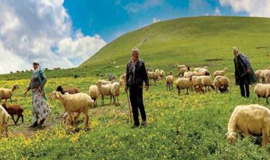 بیمه عشایر سال آینده رایگان می شود