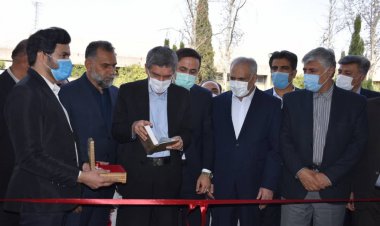 استاندار فارس: به دنبال سرمایه‌گذار برای تولید انبوه خودروی برقی هستیم