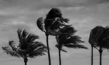 تداوم بارندگی و گرد و خاک در خوزستان