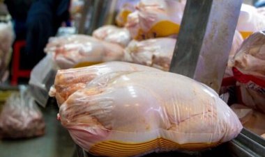 کشف ۳ تن مرغ منجمد غیرمجاز در هندیجان