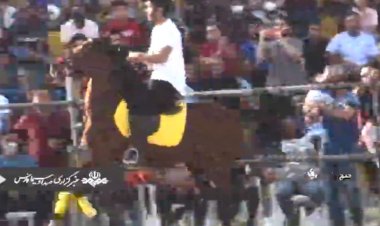 جشنواره اسب‌های فاخر در شهرستان خنج