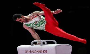 دعوت ۲ ورزشکار فارس به اردوی تیم ملی ژیمناستیک