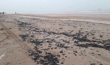 پاکسازی ساحل گناوه از مواد نفتی آغاز شد