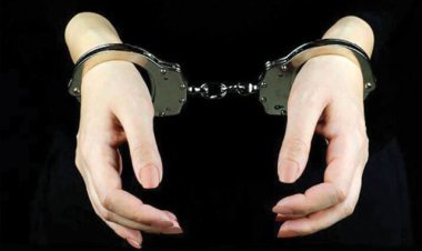 دستگیری یک زن اخاذ و کلاهبردار حرفه‌ای با ۳۰ پرونده در دزفول