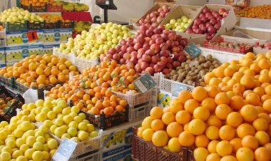 توزیع میوه تنظیم بازار در فارس ۲۶ اسفند شروع می‌شود