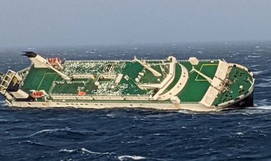 ۲۹ نفر از سرنشینان کشتی اماراتی نجات یافتند