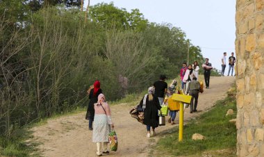 هنگام طبیعت‌گردی مراقب گزش حیوانات و بیماری هاری باشید