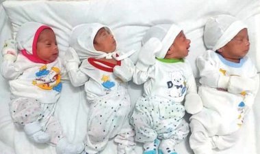 تولد اولین چهار قلوهای قرن جدید