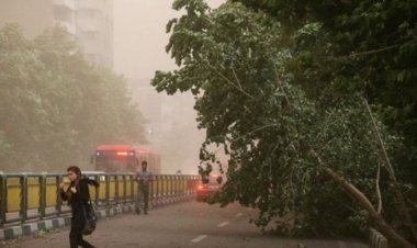 طوفان در تهران باعث افتادن درختان و تیرچراغ برق روی چند خودرو شد