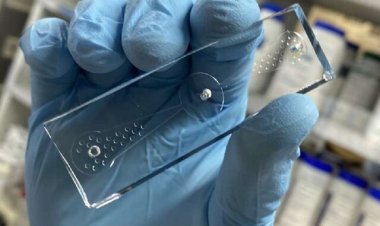 تشخیص سرطان ریه با کرم لوله‌ای