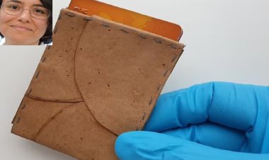 دانشمند ایرانی از قارچ، "چرم" تولید کرد!