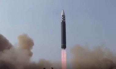 جزئیات و تصویری از «هیولای کره شمالی»