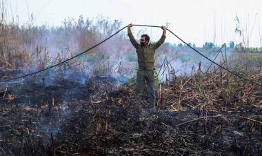 آتش‌سوزی در تالاب شادگان