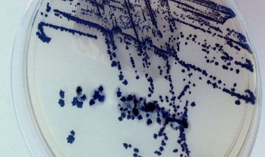 درآمد بالا به شیوه ای  باورنکردنی!