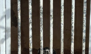 اینجا زندگی از نفس افتاده است