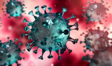 ابتلا به زیرسویه جدید کرونا با این علائم آغاز می‌شود